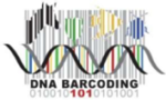 DNA Barcoding 101