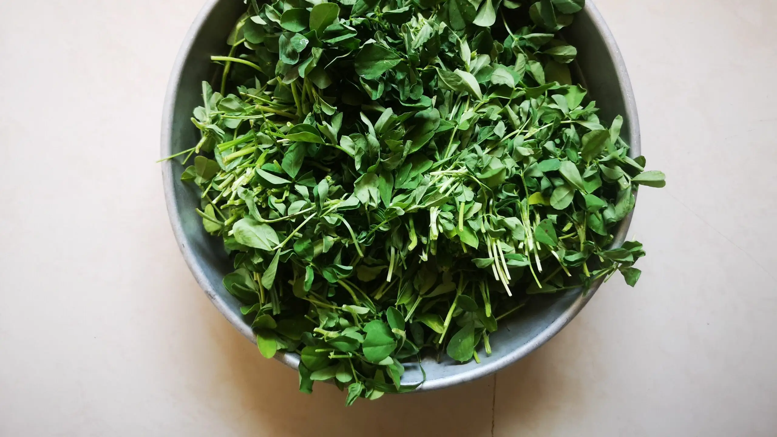 Fenugreek plants growing in natural conditions